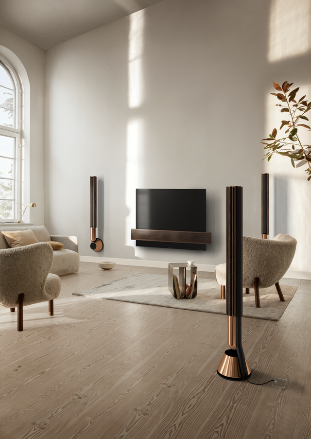Bang & Olufsen Beolab 28 – detaliu al materialelor
