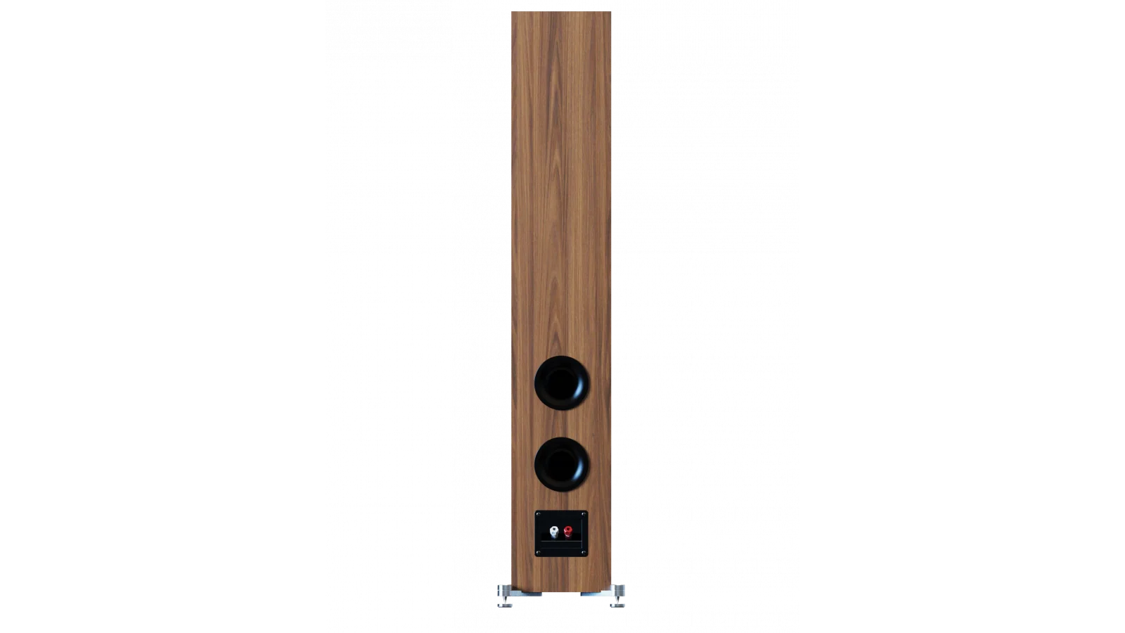 Spate boxă Elac Debut 3.0 DF53 finisaj lemn, cu două porturi bass reflex și conectori audio vizibili.