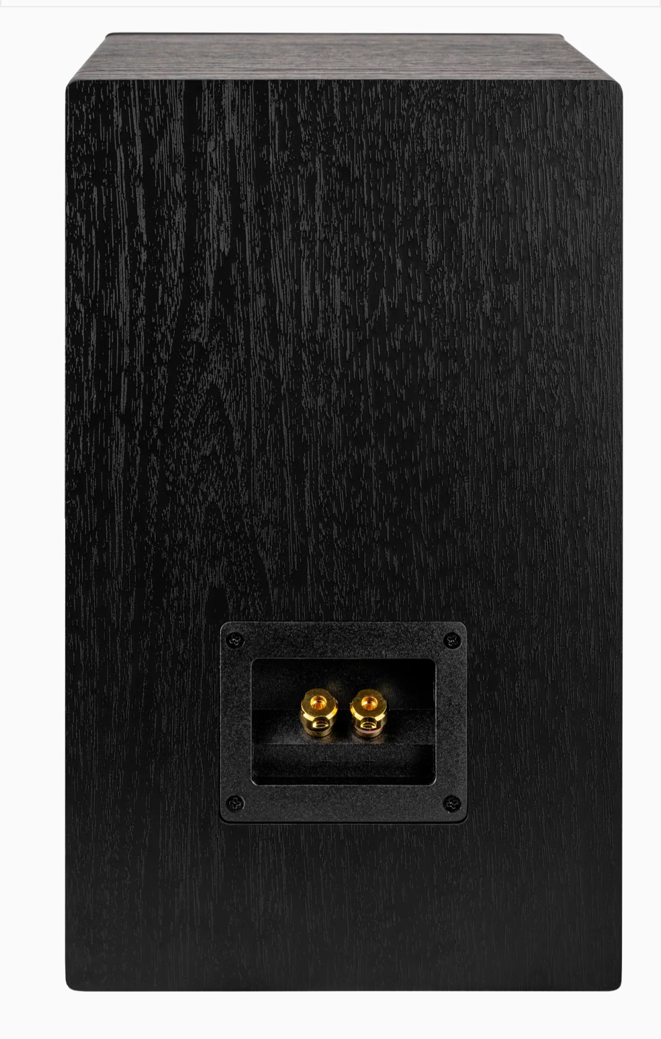 Spate boxă Elac Debut Reference DBR6.2 negru, conectori aurii pentru cabluri audio, vedere verticală.