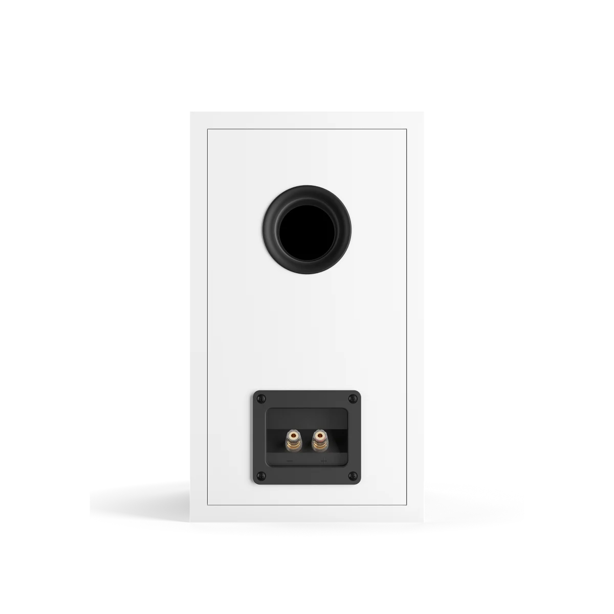 Spatele boxei Dali OBERON 3, culoare alb, arată portul bass reflex și conectorii pentru cabluri audio.