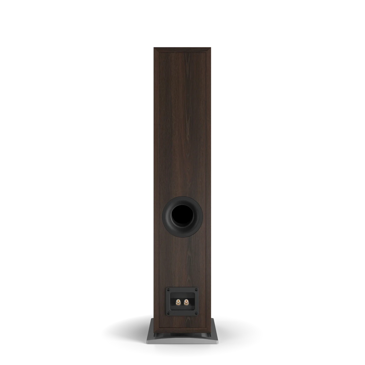 Spatele boxei Dali OBERON 5, finisaj nuc închis, cu port bass reflex și conectori pentru cabluri audio.