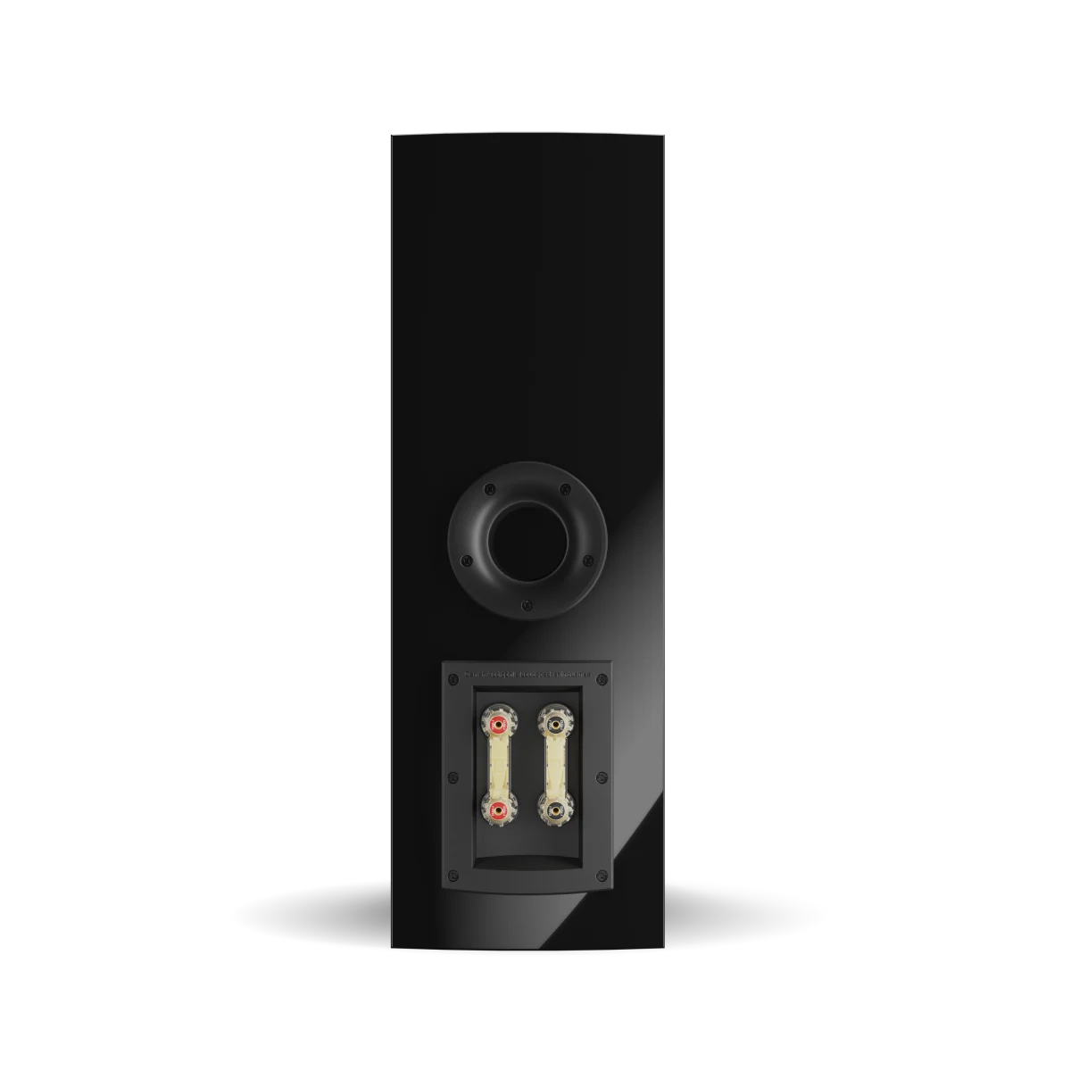Dali RUBIKORE Cinema LCR Boxe, vedere din spate, culoare neagră. Conectori audio și port bass reflex.