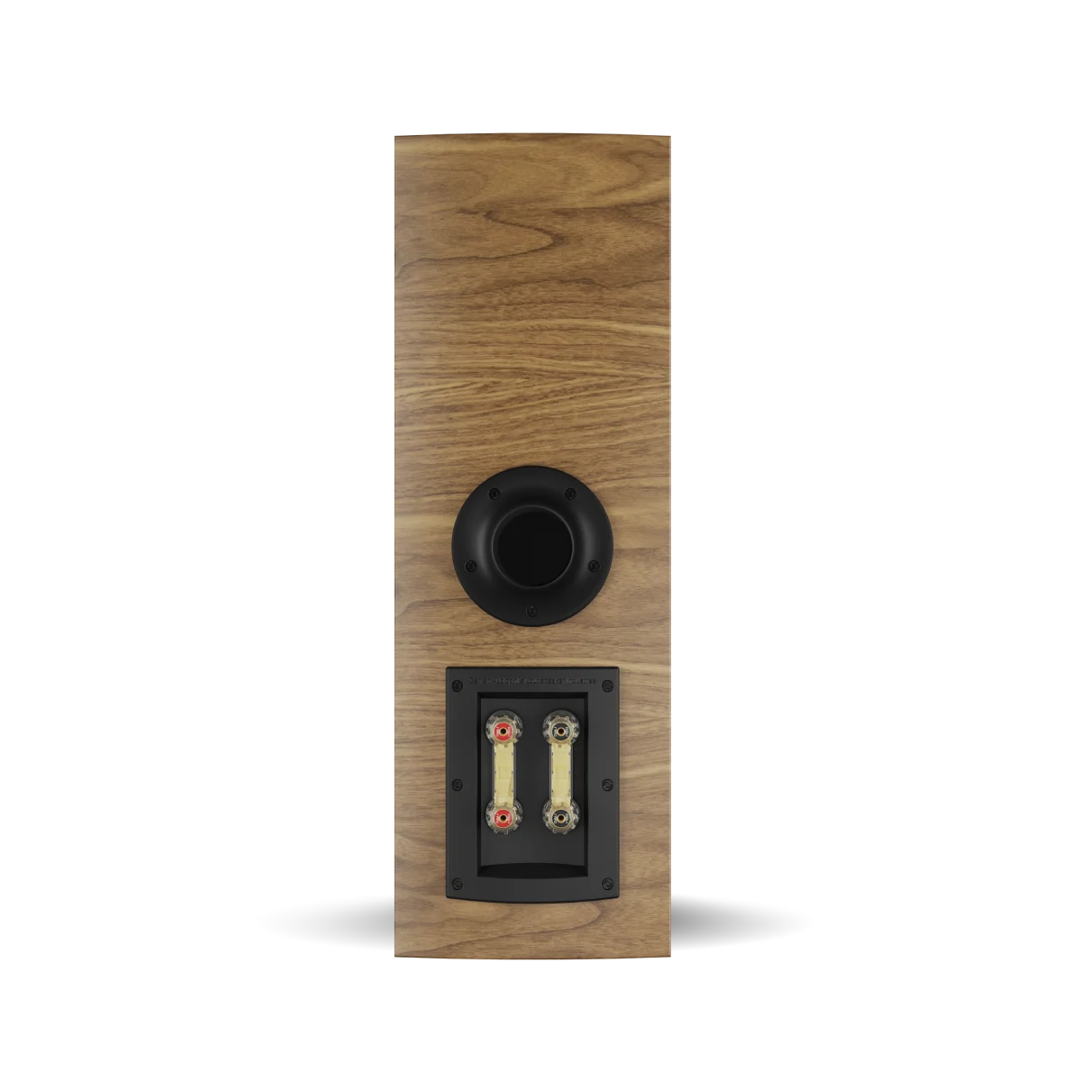 Spatele boxei Dali RUBIKORE Cinema LCR, finisaj nuc natural, conectori bi-wire și port bass reflex.