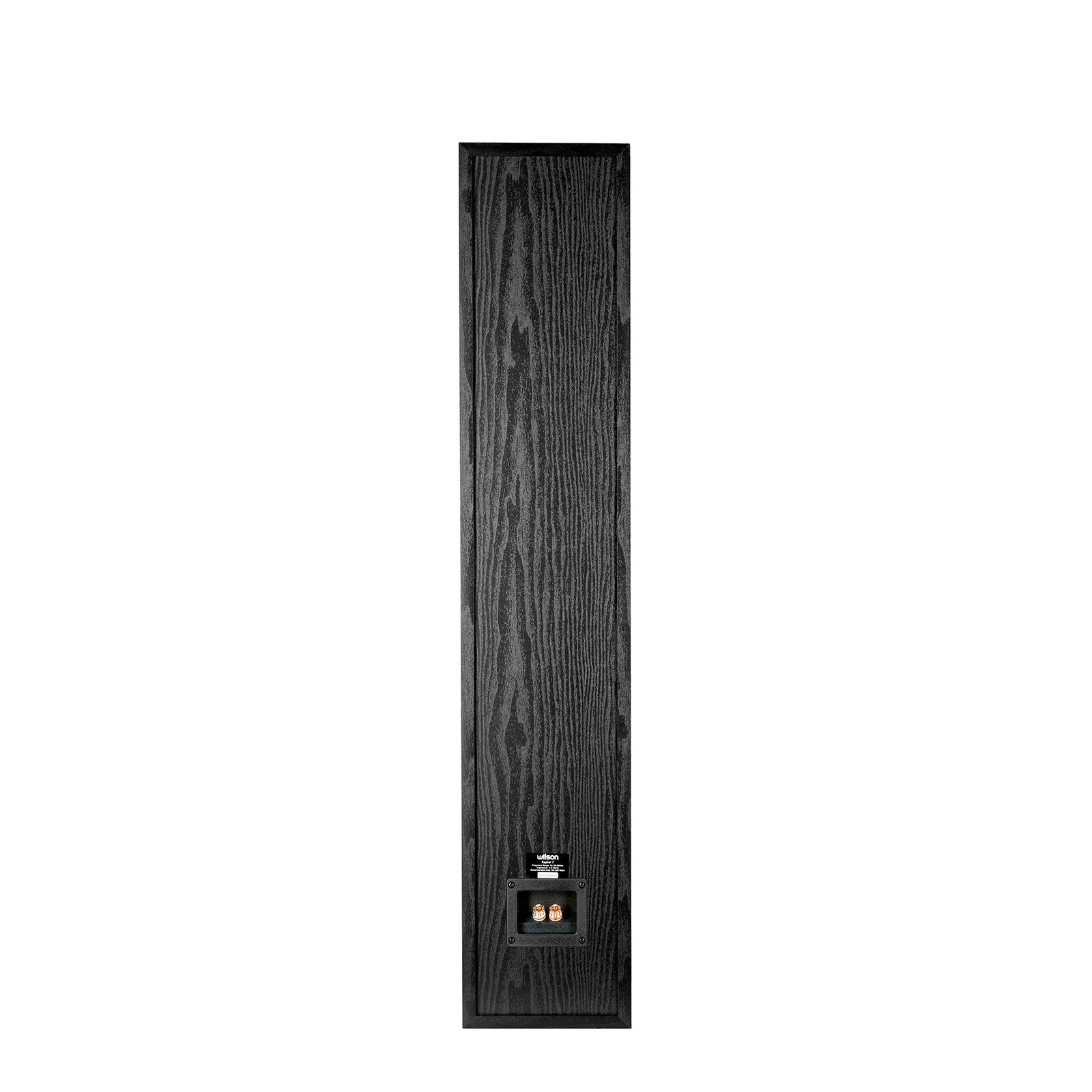 Spatele boxei Wilson Raptor 7 negru, prezentând conectorii de intrare. Finisaj lemn texturat.