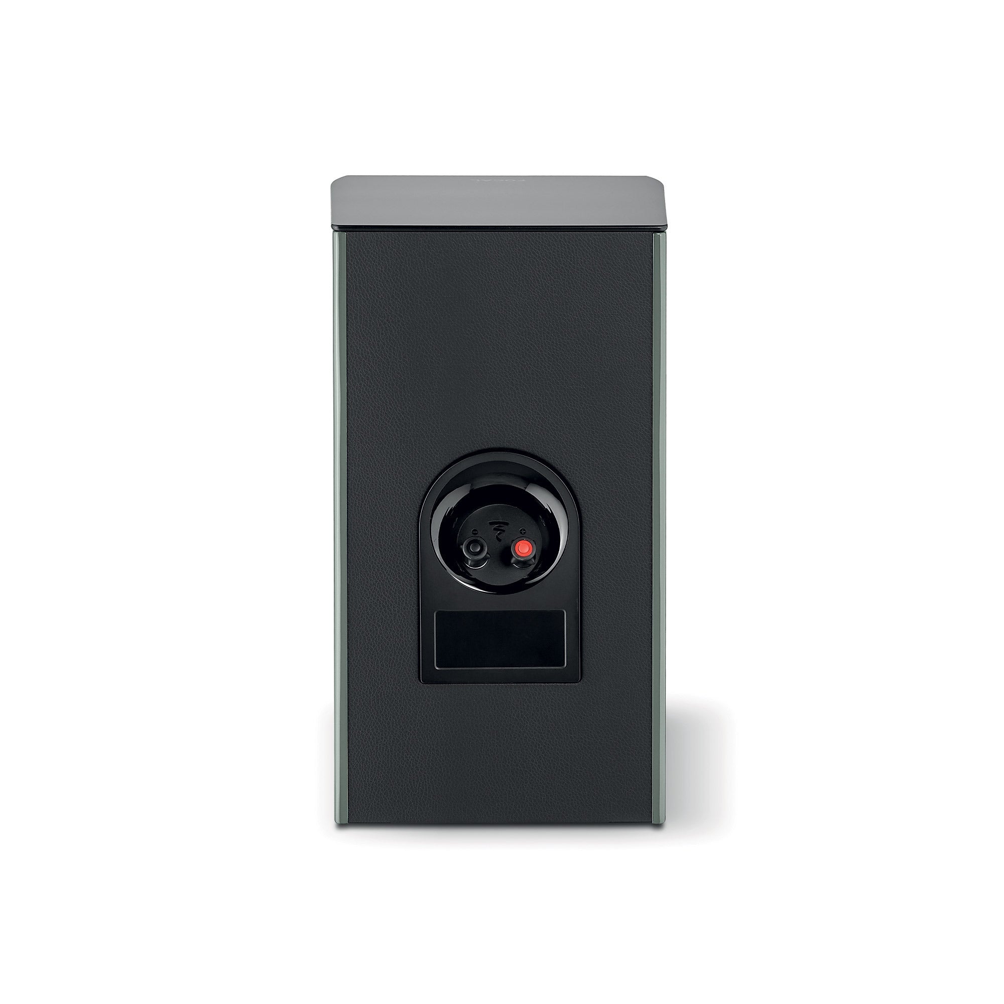 Spatele boxei Focal ARIA EVO X N°1, culoare verde mușchi, cu conectori audio vizibili.