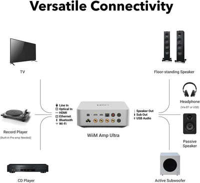 WiiM Amp Ultra vedere spate, culoare argintie, afișează porturi HDMI, USB, Ethernet, RCA, optic și jack.
