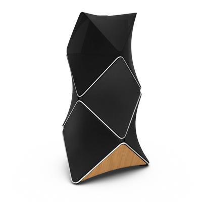 Bang & Olufsen Beolab 90 Boxe active - Pereche Black Silver, imagine oficială 1.