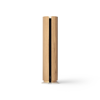 Bang & Olufsen Beosound Emerge – detaliu de finisaj