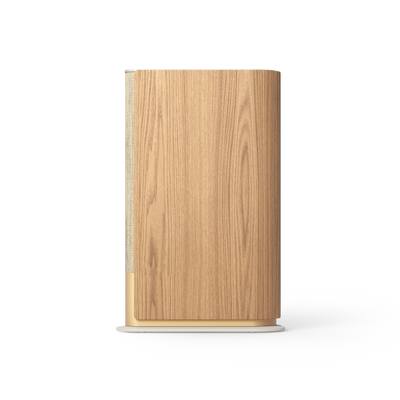 Bang & Olufsen Beosound Emerge – imagine de ansamblu