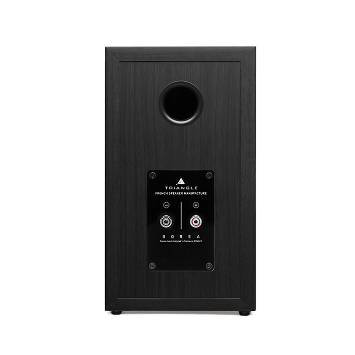 Spatele boxei Triangle Borea BR02 negru, cu portul de bas reflex și conectorii audio vizibili.