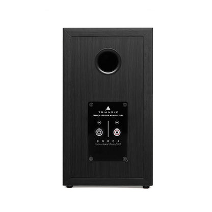 Spatele boxei Triangle Borea BR02 negru, cu portul de bas reflex și conectorii audio vizibili.