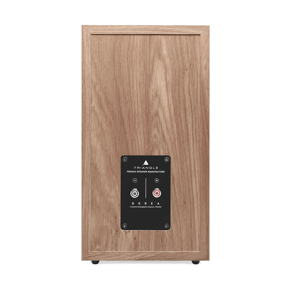 Spatele Triangle Borea BR03 Boxe de raft, finisaj lemn. Conectori audio vizibili pentru cabluri.