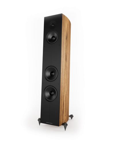 Acoustic Energy Corinium Boxe de podea - Pereche Tectona, imagine oficială 1.