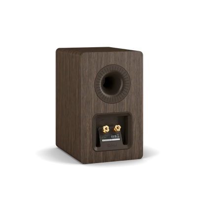 Spatele boxei de raft Dali Kupid culoare Dark Walnut, cu port bass reflex și conectori aurii vizibili.