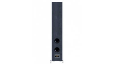 Spate boxă Elac Debut 3.0 DF63 negru, cu două porturi bass reflex circulare și conectori audio bi-wire.