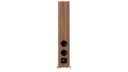 Spate boxă Elac Debut 3.0 DF53 finisaj lemn, cu două porturi bass reflex și conectori audio vizibili.