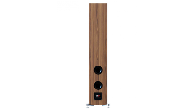 Spate boxă Elac Debut 3.0 DF63 culoare lemn, cu două porturi bass reflex și conectori audio vizibili.