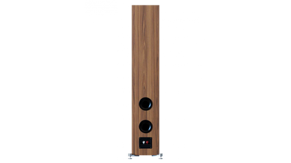 Spate boxă Elac Debut 3.0 DF63 culoare lemn, cu două porturi bass reflex și conectori audio vizibili.