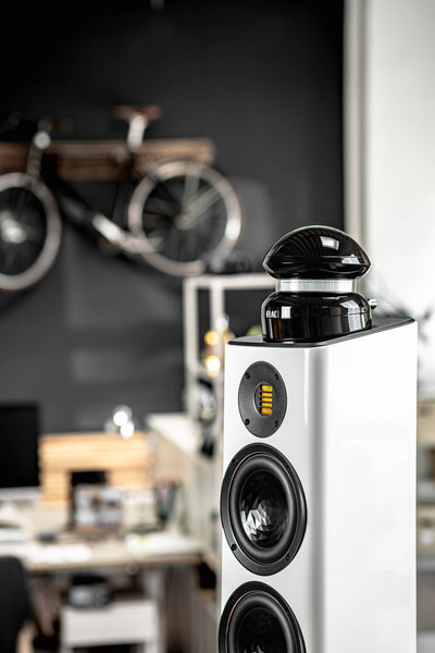 Elac 4PI Plus V Tweeter on Top - Pereche, într-un living.