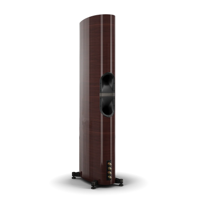 Spatele boxei Dali EPIKORE 11, culoare maroon, arată portul bass reflex și conectorii audio aurii.