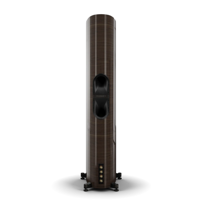 Spatele boxei Dali EPIKORE 11, finisaj nuc, cu port bass reflex și conectori pentru cabluri audio.