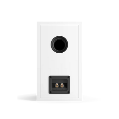 Spatele boxei Dali OBERON 3, culoare alb, arată portul bass reflex și conectorii pentru cabluri audio.