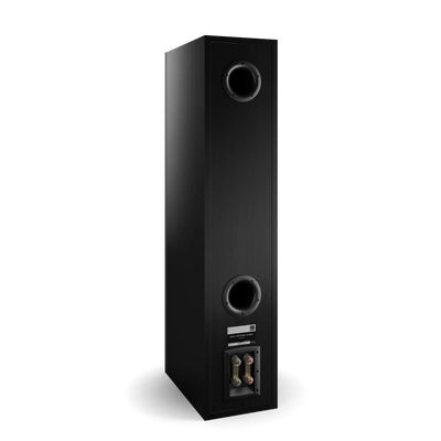 Spatele boxei Dali OPTICON 8 MK2, culoare Black Ash, arată porturile de bas reflex și conectorii audio.