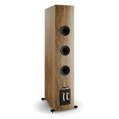 Boxa Dali RUBIKORE 8, vedere din spate, finisaj nuc natural, cu trei porturi bass reflex și conectori audio.