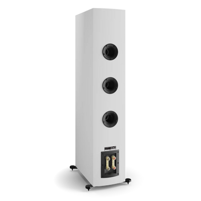 Spatele boxei Dali RUBIKORE 8 alb, cu trei porturi bass reflex și terminale pentru conectare audio.