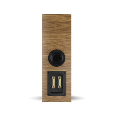 Spatele boxei Dali RUBIKORE Cinema LCR, finisaj nuc natural, conectori bi-wire și port bass reflex.