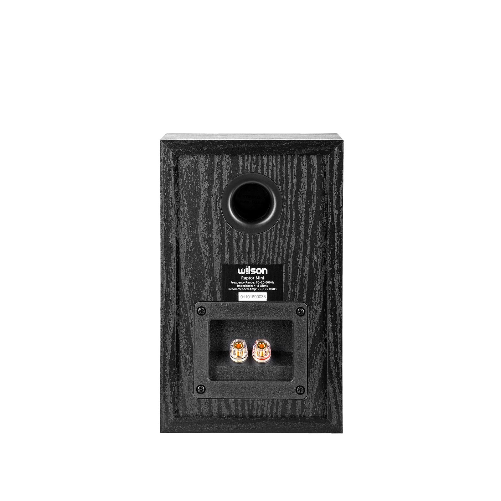 Spatele boxei Wilson Raptor Mini neagră, arată portul bass reflex și conectorii audio pentru cabluri.