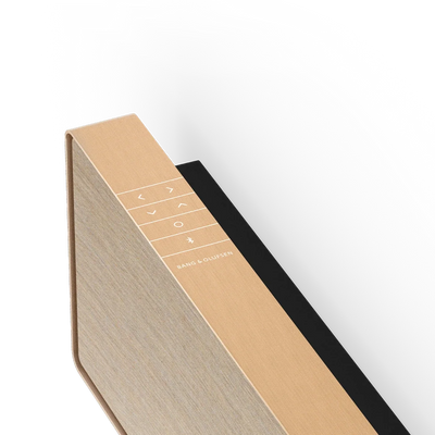 Bang & Olufsen Beosound Stage Soundbar Gold Tone, imagine oficială 1.