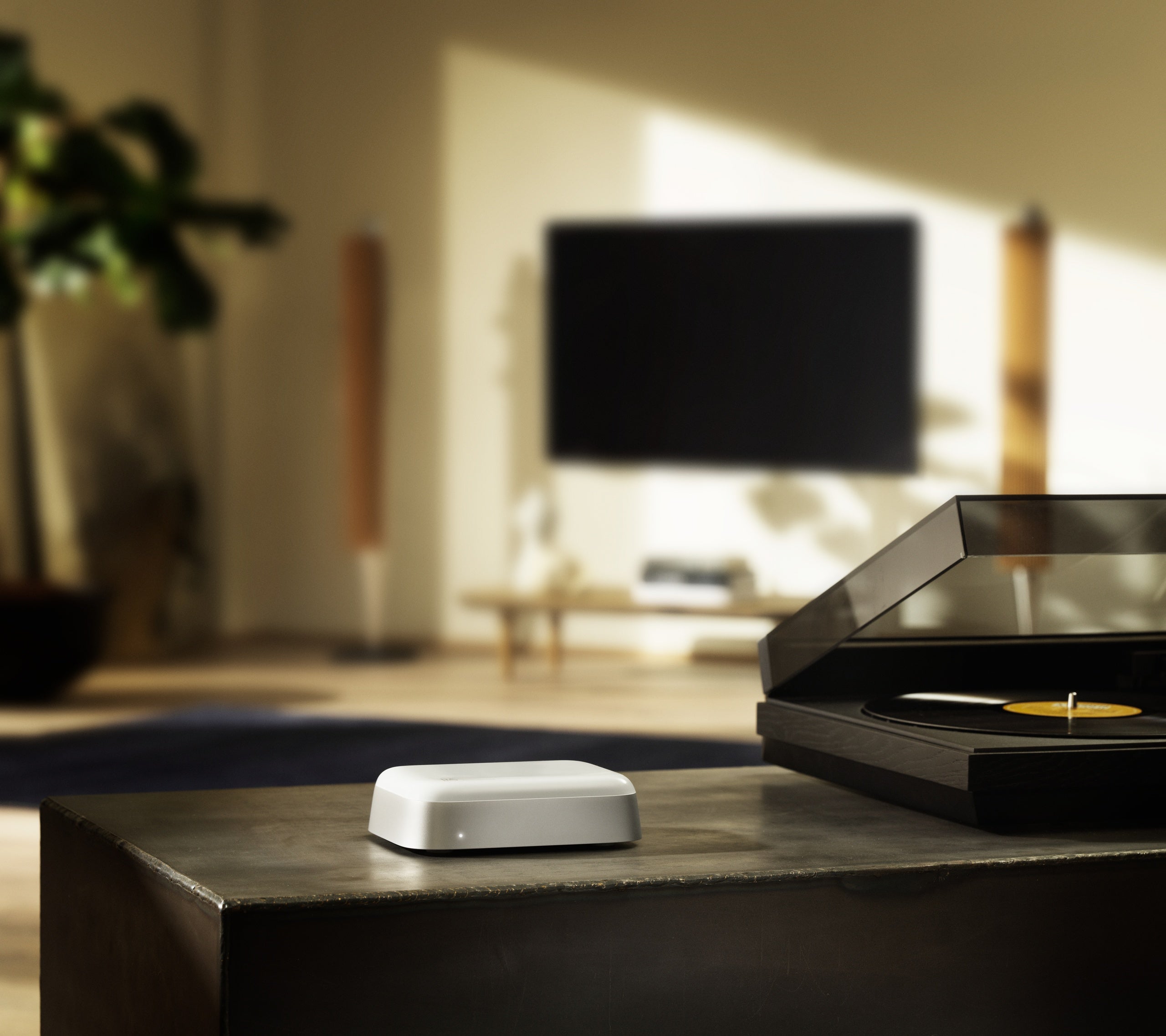 Bang & Olufsen Beoconnect Core Streamer - imagine oficială Bang & Olufsen 6