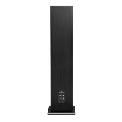 Spatele boxei Triangle Borea BR10, culoare neagră, cu panou de conexiuni vizibil. Ideal pentru configurări audio.